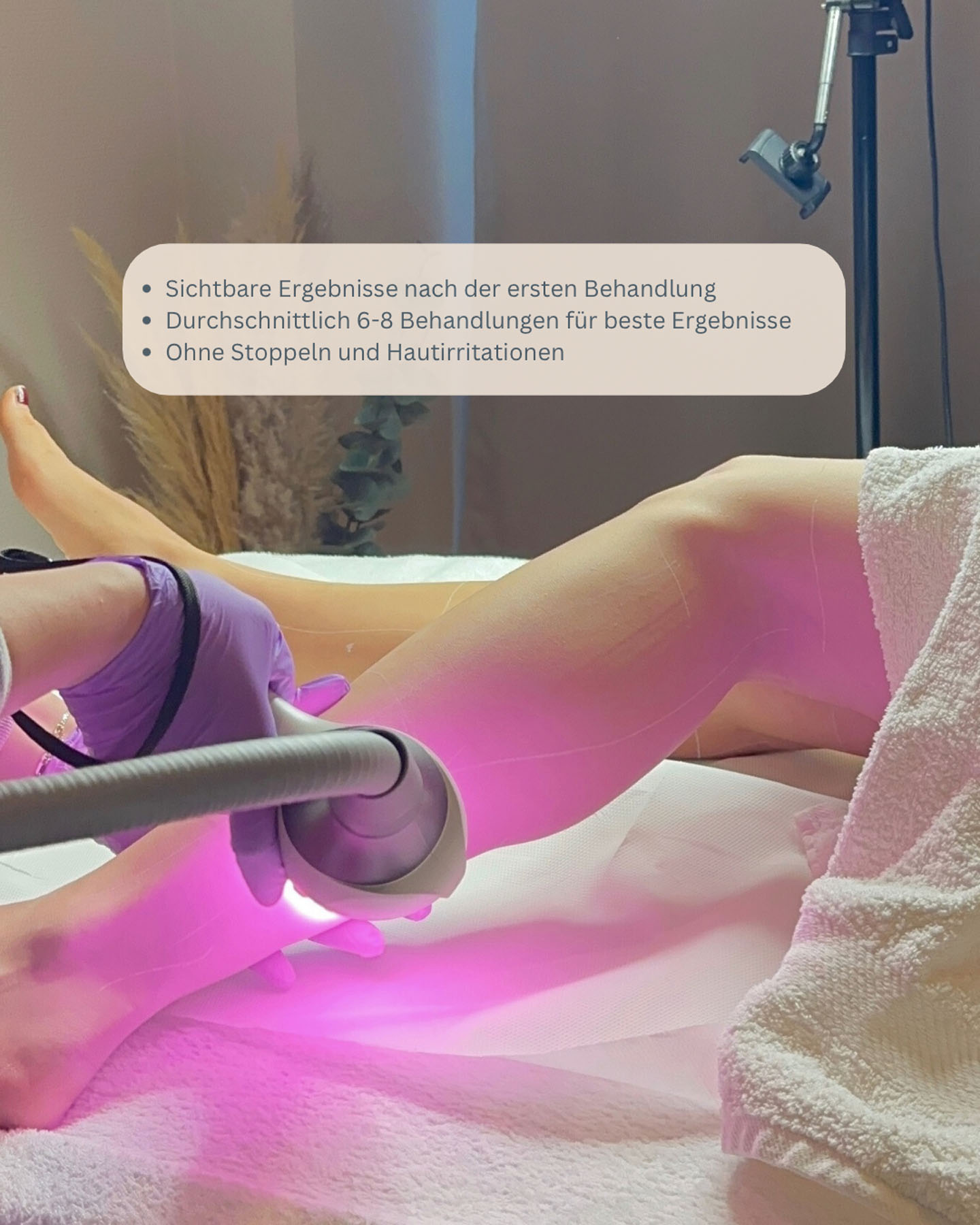 Bilder Website - 3